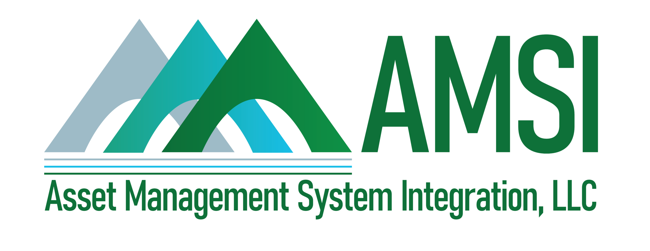Asset Management System Integration, LLC